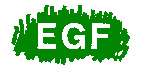 egf_small2